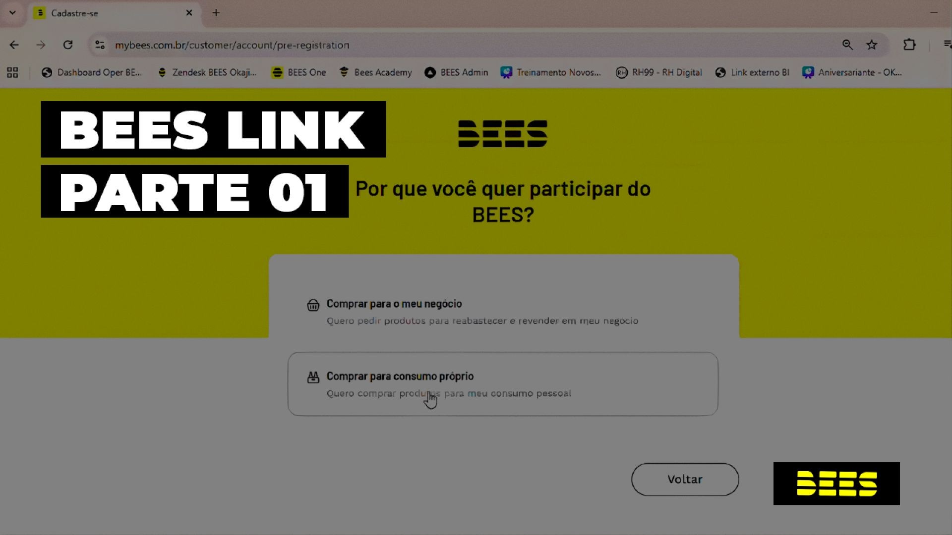 BEES LINK parte 1