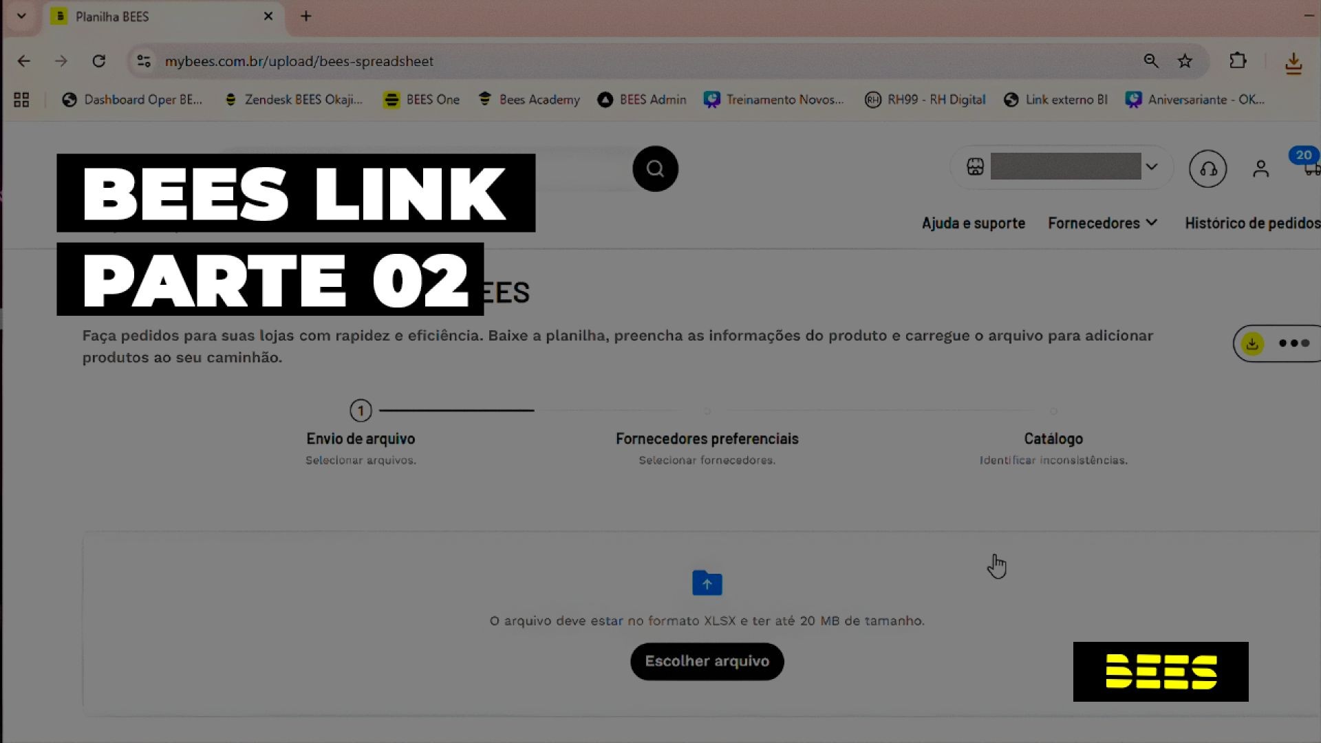 BEES LINK - parte 2